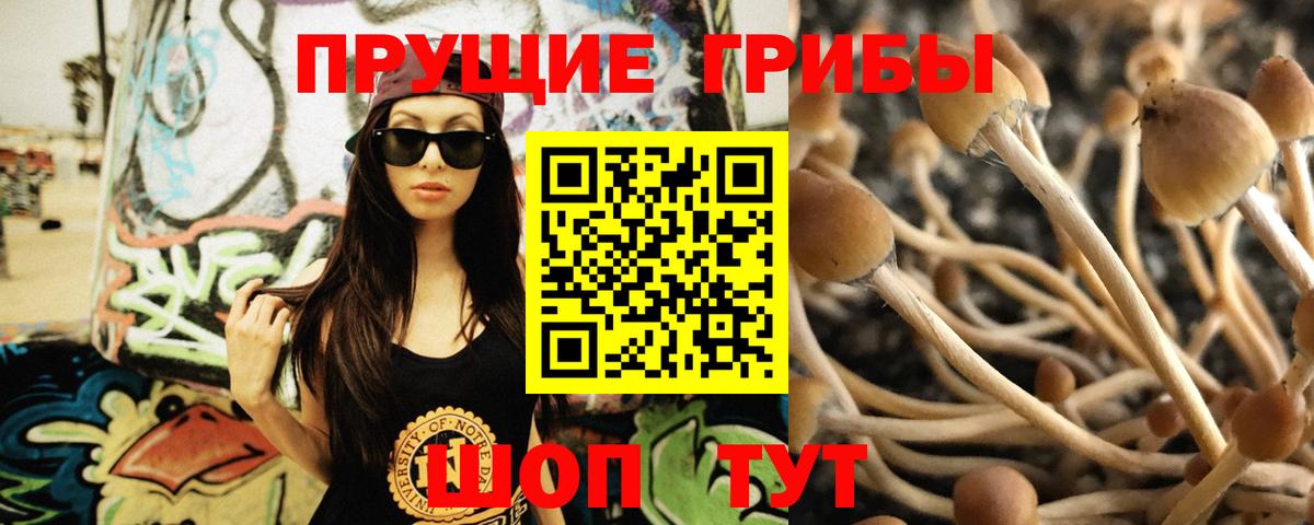Псилоцибиновые грибы прущие грибы  хочу наркоту  Славянск-на-Кубани  Псилоцибиновые грибы MAGIC MUSHROOMS  Вход с VPN 